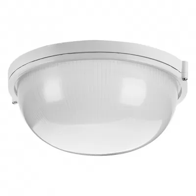 Настенно-потолочный светильник  ДПБ03-100-001 Wolta