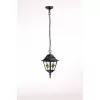 Стеклянный уличный светильник подвесной QUADRO M lead GLASS 79905MlgG Bl прозрачный Oasis Light