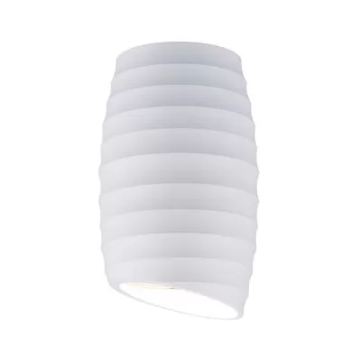 Точечный светильник DLN105 DLN105 GU10 Elektrostandard накладной