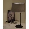 Интерьерная настольная лампа Bergamo MOD613TL-01B конус серый Maytoni