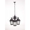 Стеклянный уличный светильник подвесной ASTORIA 2 91470L/3 Bl прозрачный Oasis Light