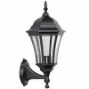Стеклянный настенный фонарь уличный  91301S Bl прозрачный Oasis Light Стеклянный настенный фонарь уличный  91301S Bl прозрачный Oasis Light