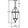 Стеклянный уличный светильник подвесной ROMA L 95205L W прозрачный Oasis Light