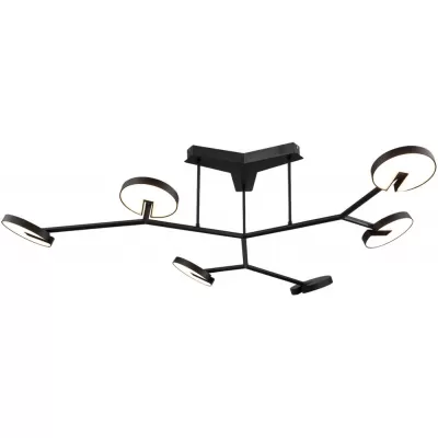 Потолочная люстра Paritet 4401-6C Favourite