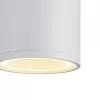 Архитектурная подсветка Biotit 30015W/02 White цилиндр белый Escada