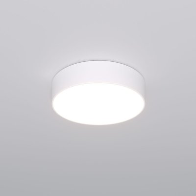 Потолочный светильник Entire 90318/1 белый Eurosvet