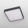 Потолочный светильник Тао CL712K242 белый Citilux