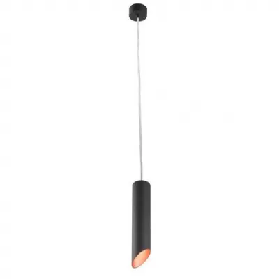 Подвесной светильник Pilon-gold A1536SP-1BK Artelamp