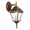 Стеклянный настенный фонарь уличный Domenico SL082.211.01 прозрачный ST Luce