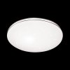 Настенно-потолочный светильник Leka 2051/CL белый Sonex