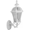 Стеклянный настенный фонарь уличный ROMA L 95201L/15 W прозрачный Oasis Light