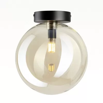 Настенно-потолочный светильник Orton CL202512 Citilux