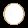 Настенно-потолочный светильник Woodi 3019/EL белый Sonex