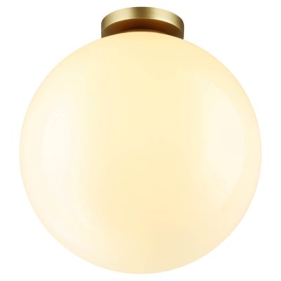 Потолочный светильник уличный Bosco 4250/1C Odeon Light