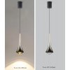 Стеклянный подвесной светильник 8969P 8969P/1 gold/black черный DeLight Collection