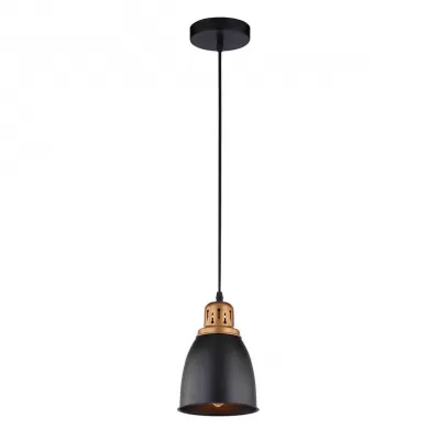Подвесной светильник Eurica A4248SP-1BK Artelamp