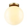 Потолочный светильник уличный Bosco 4248/1C форма шар белый Odeon Light