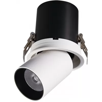 Точечный светильник 3003 DA3003RR white/black DeLight Collection