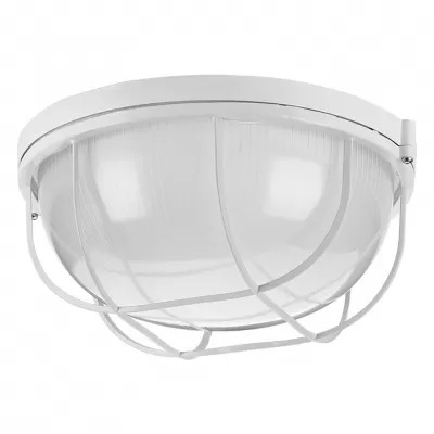 Настенно-потолочный светильник  ДПБ03-100-002 Wolta