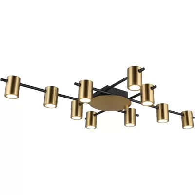 Потолочная люстра Elwisia APL.633.07.10 Aployt