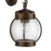 Стеклянный настенный фонарь уличный Hunt 1848-1W прозрачный Favourite