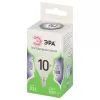 Лампочка светодиодная  LED P45-10W-865-E14 GL ЭРА