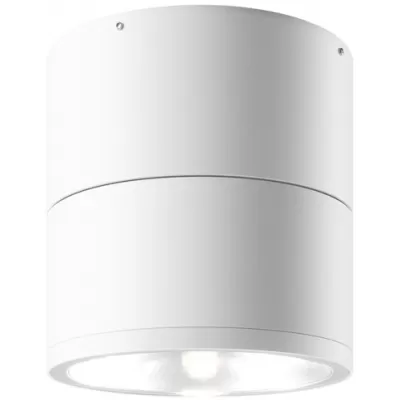 Потолочный светильник уличный Spin O310CL-L12W3K Maytoni