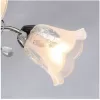 Стеклянная потолочная люстра Моника 372015005 прозрачная конус MW-Light
