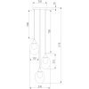 Стеклянный подвесной светильник Spritz 70216/3 латунь прозрачный Eurosvet
