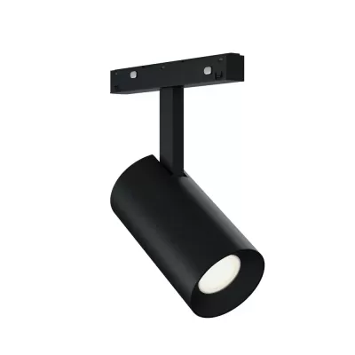 Корпус трековый Skyline 48+ ST3365.446.15_LG_R ST Luce