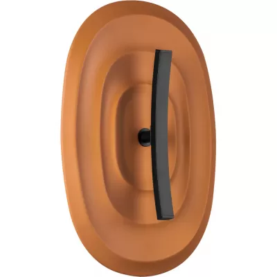 Настенный светильник Erica 609641 Lightstar