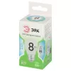 Лампочка светодиодная  LED P45-8W-840-E27 GL ЭРА
