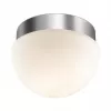 Стеклянный настенно-потолочный светильник Minkar 2443/1A белый Odeon Light