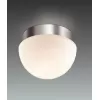 Стеклянный настенно-потолочный светильник Minkar 2443/1A белый Odeon Light