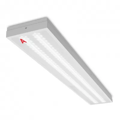 Светодиодная панель STD ДПО13-36-142-6К Wolta