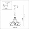 Стеклянная подвесная люстра Stono 4789/5A прозрачная Odeon Light