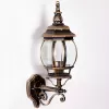 Стеклянный настенный фонарь уличный  83401S Gb прозрачный Oasis Light