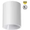 Точечный светильник Recte 359420 цилиндр белый Novotech Точечный светильник Recte 359420 цилиндр белый Novotech