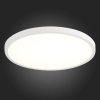 Настенно-потолочный светильник St601 ST601.532.32 белый ST Luce