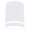 Точечный светильник TECHNO SPOT TN3202 цилиндр белый Ambrella