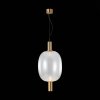 Стеклянный подвесной светильник Allenore SL1582.313.01 прозрачный форма шар ST Luce