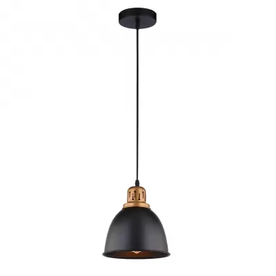 Подвесной светильник Eurica A4245SP-1BK Artelamp