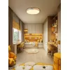Потолочный светильник Scandinavian LED LAMPS 81183 белый Natali Kovaltseva