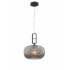 Стеклянный подвесной светильник 1050 1050-1PL форма шар серый