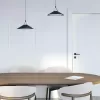 Трековый светильник BELTY FLOW DK5565-BK конус черный Denkirs