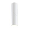 Точечный светильник Dafne C027CL-L10W цилиндр белый Maytoni