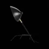 Интерьерная настольная лампа Spruzzo SL305.404.01 конус белый ST Luce