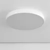 Потолочный светильник Купер CL72495G0 белый Citilux