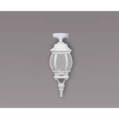 Потолочный светильник уличный AMERICA S 83405SA W Oasis Light