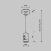 Подвес тросовый Accessories for tracks Flarity TRA157SW-S1-PT Maytoni